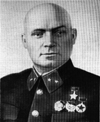 Командующий 30-й А  Д. Д. Лелюшенко (ноябрь 1941 - ноябрь 1942)