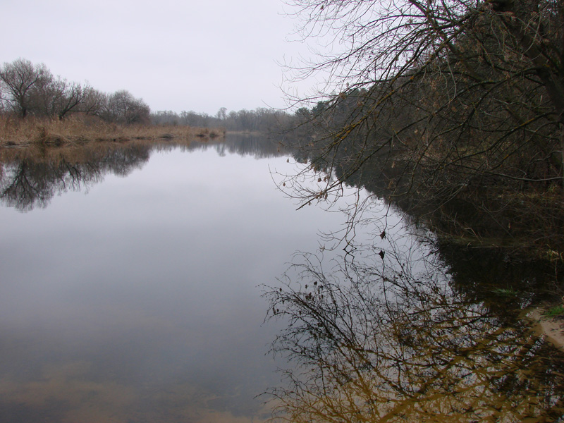 10.12.2006: Река Усманка