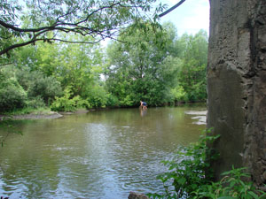 23 июля 2009 г.Река Кобылья Снова - фотография Сергея Самодурова