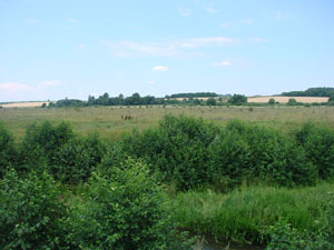 23 июля 2009 г. Река Кобылья Снова - фотография Сергея Самодурова