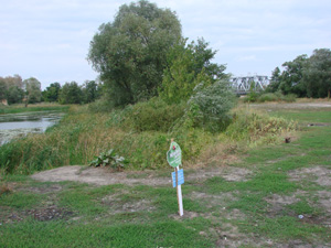 28 августа 2010 г. Боровое - река Усманка - фотография Сергея Самодурова