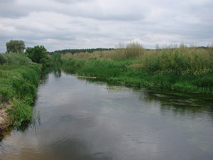 2 июня 2013 г. Река Усманка - фотография Сергея Самодурова