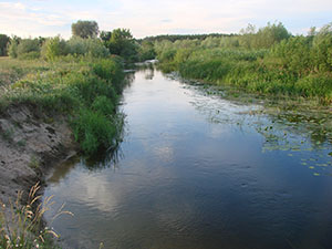 19 июня 2013 г. Река Усманка - фотография Сергея Самодурова