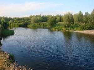 19 июня 2013 г. Река Усманка - фотография Сергея Самодурова