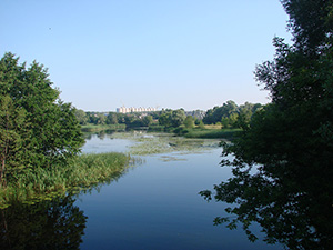 29 июня 2013 г. Река Усманка - фотография Сергея Самодурова