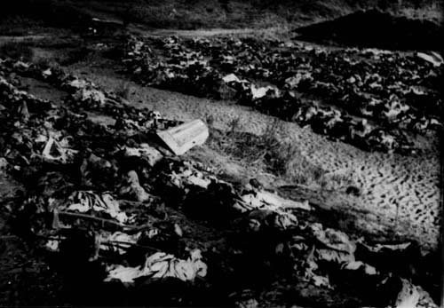 Песчаный Лог, 1943-й год
