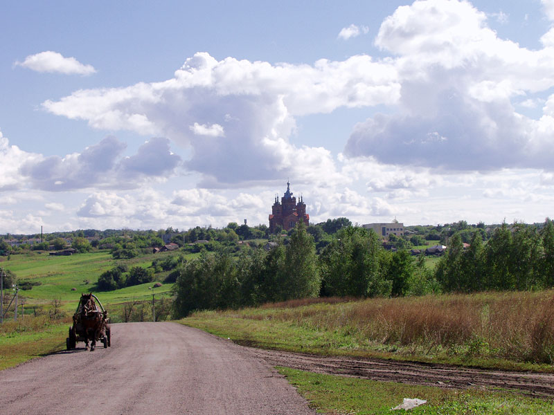 Село Новоспасовка Воронежской Области Фото